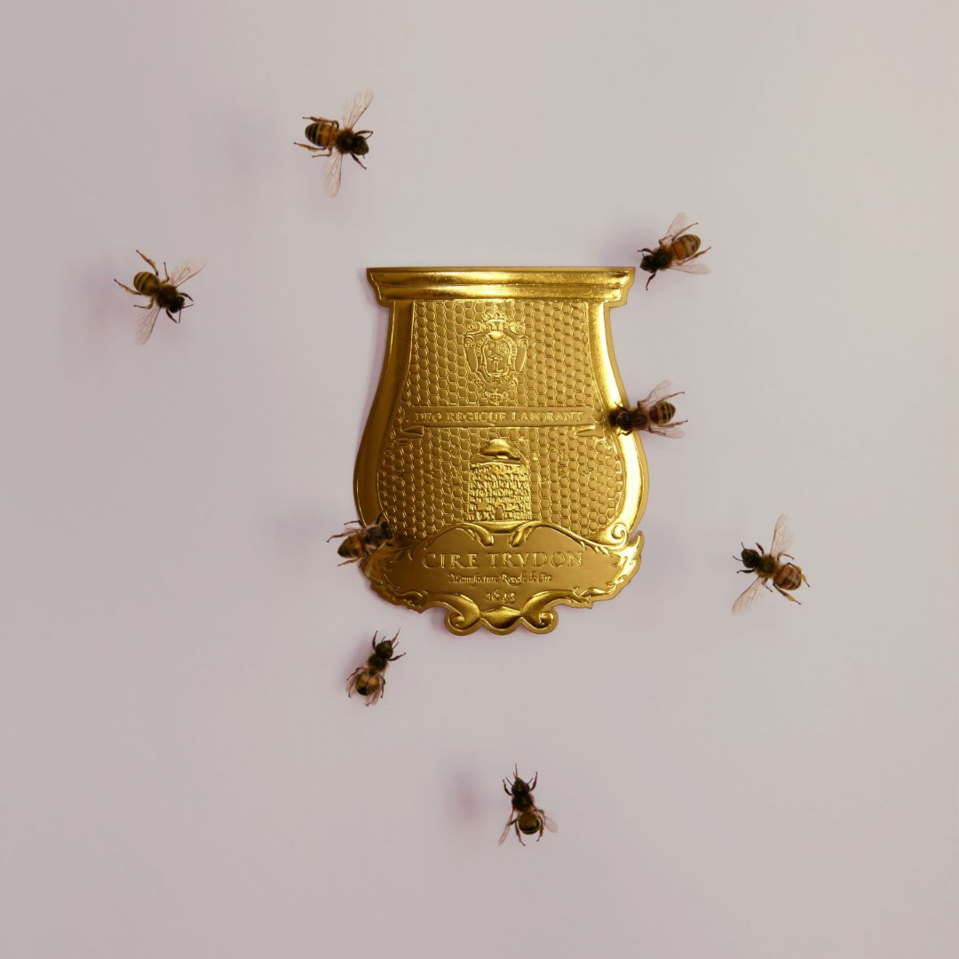 Trudon et les abeilles